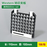 wb轉(zhuǎn)膜夾 wb三明治夾板 伯樂(lè)bio-rad夾板黑白孔轉(zhuǎn)膜夾板1703931 國(guó)產(chǎn)電轉(zhuǎn)夾1個(gè)