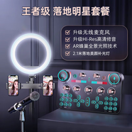 金運 V20聲卡直播設備全套麥克風(fēng)錄音套裝話(huà)筒唱歌手機藍牙電腦無(wú)線(xiàn)變聲器電容麥全民K歌抖音快手 落地入門(mén)套裝【無(wú)線(xiàn)麥+2.1美顏燈】聲卡全套