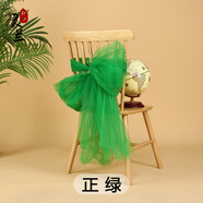 靈蘭 45A美國網(wǎng) 加密軟網(wǎng)紗面料 網(wǎng)眼紗演出服蓬蓬裙 小網(wǎng)眼蚊帳布料 正綠