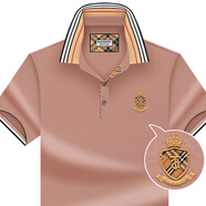 AU. ASPOLO品牌保羅衫短袖t恤男夏季翻領(lǐng)桑蠶絲T恤衫男士商務(wù)休閑中青年體恤 豆沙紅色 L