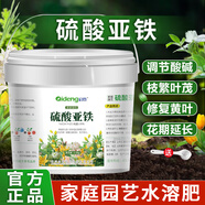 智綠硫酸亞鐵花肥料喜酸植物梔子花茶花杜鵑花桂花水溶肥防黃葉家用肥 硫酸亞鐵桶裝5斤