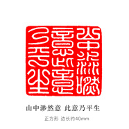 成品書(shū)畫(huà)閑章印章書(shū)法篆刻書(shū)畫(huà)印章引首壓角腰章國畫(huà)小印章歷代名 195