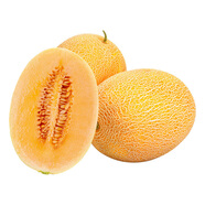 新疆吐魯番金甜脆哈蜜瓜1.5kg