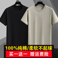 戰(zhàn)浩【2件】純棉短袖t恤男夏季衣服圓領(lǐng)半袖寬松白上衣純色打底衫體恤 黑色+卡其色 S 建議【85-100斤】