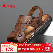 蜘蛛王男士涼鞋輕質(zhì)駕車(chē)沙灘鞋鏤空透氣一腳蹬兩用拖鞋 棕色 41 