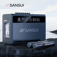 山水（SANSUI）大功率戶(hù)外高音質(zhì)藍牙音箱低音炮便攜式手提移動(dòng)廣場(chǎng)舞音響帶話(huà)筒家用歌詞k歌音響卡拉ok一體機 G10歌詞同步顯示12單元+高端雙麥
