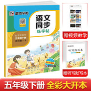 墨点字帖 2024年春 语文同步五年级下册 笔顺笔画同步练字帖视频版 赠听写默写本 人教版五年级课外阅读铅笔字帖楷书描红本生字偏旁部首拼音控笔训练字帖 （共2册)