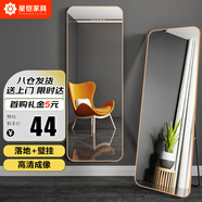 星愷 穿衣鏡 全身鏡家用臥室試衣鏡網(wǎng)紅壁掛落地鏡子JY89金146*36