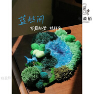 妙普樂(lè)創(chuàng)意苔蘚地毯地墊手工diy材料包藍(lán)嶼間杯墊禮物現(xiàn)貨綠野仙蹤禮物 苔蘚地毯