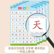 開(kāi)心寶貝拼音字母表墻貼掛圖漢語(yǔ)小學(xué)一年級聲母整體認讀音節韻母26個(gè)  新版 彩識字掛圖5張一年級上冊