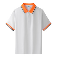 FEIYU LEEPolo衫夏季t恤翻領(lǐng)短袖工作服工衣工裝員工訂做刺繡t印字logo中山 白色 3XL