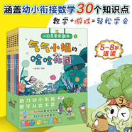 一園青菜愛(ài)數(shù)學(xué)系列橋梁書(shū)（6冊(cè)）勇闖數(shù)學(xué)王國(guó) 涵蓋幼小銜接30個(gè)知識(shí)點(diǎn) 知識(shí)講解、習(xí)題、答案快速提升自學(xué)能力