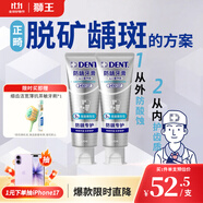 獅王（Lion）DENT 專研防齲防蛀牙膏135g*2羥基磷灰石防齲正畸矯正專用