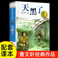 （團購優(yōu)惠）青銅葵花正版曹文軒原著純美小說7-12歲草房子系列兒童文學(xué)青少年四五年級下冊 小學(xué)生課外閱讀書籍全套完整原版江蘇少兒出版社 天黑了