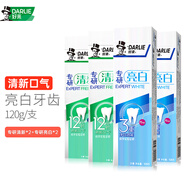 DARLIE 好來(lái)(原黑人）牙膏專(zhuān)研亮白護齦清新口氣含氟牙膏家庭裝牙膏組合 專(zhuān)研亮白120g*2+清新120g*2
