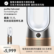 戴森（DYSON）HP09空氣凈化暖風(fēng)扇除甲醛 除異味 暖風(fēng)取暖 多功能三合一家用臥室 家用禮物 白金色