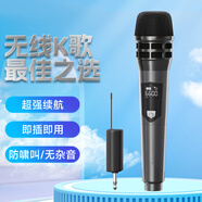 奇聲（QiSheng）無(wú)線話筒防嘯叫戶外廣場(chǎng)舞音響會(huì)議主持演講K歌神器連接家用音響萬(wàn)能麥克風(fēng) U-66 電池款