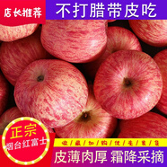 24年新蘋果 JD快遞正宗煙臺(tái)紅富士蘋果棲霞萍果新鮮水果 時(shí)令生鮮 3斤紅富士【5-8個(gè)凈2.5-2.8斤】