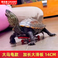 駱?lè )[豆烏龜小滑板車(chē)手指指尖迷你玩具鸚鵡滑板模型掛件同款網(wǎng)紅寵物 (1個(gè)裝)丨大號14CM-手指滑板