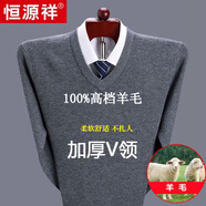 恒源祥純色羊毛絨衫男加厚半高圓領(lǐng)毛衣羊毛衫冬季款針織衫打底保暖上衣 V 領(lǐng)灰色-純?nèi)?00甄選精品羊毛 XL 175【適合140-155斤】【柔軟舒適保暖