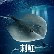 林暢模玩兒童海洋動物玩具實心仿真深海魚模型鋸鰩刺魟蝠鲼箱鲀認知生物 刺魟