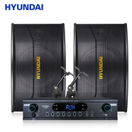HYUNDAI現(xiàn)代8英寸家庭影院KTV音響 家用商用會(huì)議室音響設(shè)備電視卡拉ok功放機(jī)可充電麥克風(fēng)組合套裝