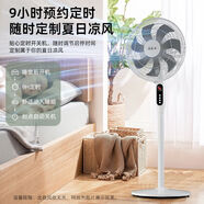 長城遙控款白色落地扇 家用大風(fēng)力電風(fēng)扇