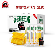 黑熊農(nóng)場黃糯玉米新鮮東北吉林粘黏甜苞米棒非轉(zhuǎn)基因現(xiàn)摘真空 1400g
