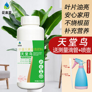 花來美天堂鳥營養(yǎng)液鶴望蘭專用肥料旅人蕉富貴鳥大型花卉盆栽葉面營養(yǎng)肥 天堂鳥鶴望蘭營養(yǎng)液*1瓶養(yǎng)護(hù)精選