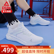 匹克態(tài)極跑鞋3.0男鞋運動(dòng)鞋男減震耐磨透氣輕彈休閑跑步鞋子男 大白（瓷風(fēng)） 45