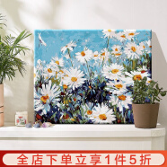 倍思家 数字油画diy风景花卉手绘油画填色客厅装饰画儿童手工画动漫挂画 灿烂雏菊 50*40cm（绷好实木内框整套）