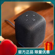 索尼（SONY） SRS-LS1 LinkBuds Speaker便攜式無線藍(lán)牙音響電腦音箱 99新 標(biāo)配
