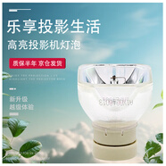 集大成日立（HITACHI）（次日達(dá) 當(dāng)日達(dá)）投影機(jī)燈泡HCP-X,HCP-A系列,D系列,K系列,N系列,Q系列,TX系列 集大成燈泡