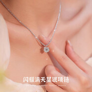 傾愛(ài)S925滿(mǎn)天星銀項(xiàng)鏈女生輕奢高級(jí)感鎖骨鏈銀飾生日禮物送女朋友 滿(mǎn)天星項(xiàng)鏈-白色