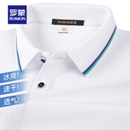 羅蒙（ROMON）涼感透氣短袖POLO衫男2025夏季新款時尚休閑純色翻領(lǐng)t恤男 S3T258406霜白 M 【建議105-120斤】