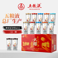 五糧液火爆小酒42度濃香型白酒 火爆口杯酒白酒禮盒50ml*12瓶