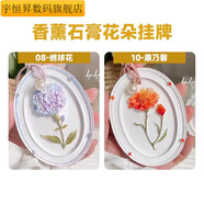 香薰石膏娃娃涂色石膏掛牌花朵石膏浮雕畫(huà)彩繪石膏娃娃diy材料包 康乃馨+繡球花+圖紙+絲帶 一套12色顏料+兩支筆+調色盤(pán)