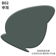 漆先生油漆國(guó)標(biāo)GSB系列油漆桶裝迷彩油漆設(shè)備機(jī)械室外鐵門欄桿工業(yè)防銹油漆防腐金屬翻新油漆配固化劑 B02中灰 4升油漆+2升固化劑