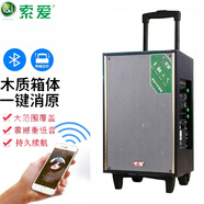 索愛(ài)X28廣場(chǎng)舞音響戶外大音量拉桿藍(lán)牙音箱木質(zhì)重低音K歌無(wú)線麥克風(fēng)話筒室外樂(lè)器吉他專(zhuān)業(yè)演出音響 8寸(藍(lán)牙版) 不帶話筒