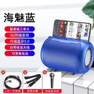 維岐 無(wú)線(xiàn)藍牙音箱戶(hù)外大音量廣場(chǎng)舞便攜小型家用車(chē)載低音炮手機k歌可U盤(pán)插卡音響FM收錢(qián)碼語(yǔ)音播報器 海魅藍【送麥克風(fēng)】