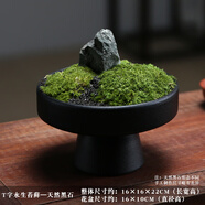 樸記永生苔蘚植物微景觀(guān)組合盆栽擺件新中式茶室桌面綠植造景禪意軟裝 A款T字永生苔蘚（天然黑石）