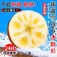 正宗新疆產(chǎn)地冰糖心蘋(píng)果新鮮水果脆甜禮盒裝整箱紅富士雪山丑蘋(píng)果 9斤 精選大果（80-85）