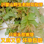 新鮮花椒青花椒葉芽麻椒花椒葉晾干食用山東野菜蔬菜沂蒙山農(nóng)家 100g
