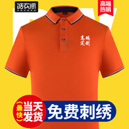 皓衣閣企業(yè)工作服T恤定制刺繡高端Polo文化衫印logo定做活動(dòng)團(tuán)體廣告衫 【精致款高爾夫】橙色 S