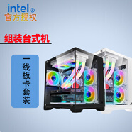 英特爾（Intel）13代酷睿i5-13490F搭載銳炫ARC獨(dú)立顯卡 視頻編輯 酷炫電競(jìng) 組裝電腦主機(jī) 配置四【定制定金專拍】 孤勇者（黑）+律動(dòng)RGB六風(fēng)扇套裝