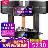 山水（SANSUI） FK-101家庭ktv音響 K歌套裝 卡拉ok 大功率功放 家用卡包音箱 家庭影院 點(diǎn)歌機(jī)唱K設(shè)備12吋 黑FK101五喇叭+功放+U段麥+3T