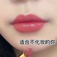 蘭奕李佳琪推薦口紅不掉色不沾杯口紅顯白滋潤防水不脫色素顏自然啞光 暖粉豆沙+胡蘿卜色（送睫毛膏）
