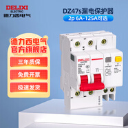 德力西電氣漏電保護器空開(kāi)帶漏電保護開(kāi)關(guān)斷路器小型家用總開(kāi)2P漏保 2P 100A