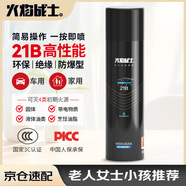 火焰戰(zhàn)士水基滅火器車載家用新能源車便攜環(huán)保21B老人小孩女士用MSWJ620A