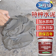 耐博仕水泥地面修補(bǔ)防水抗裂速干特種水泥快干堵漏王高標(biāo)號(hào)白水泥砂漿膠 【10斤白水泥】快干抗裂墻地通用